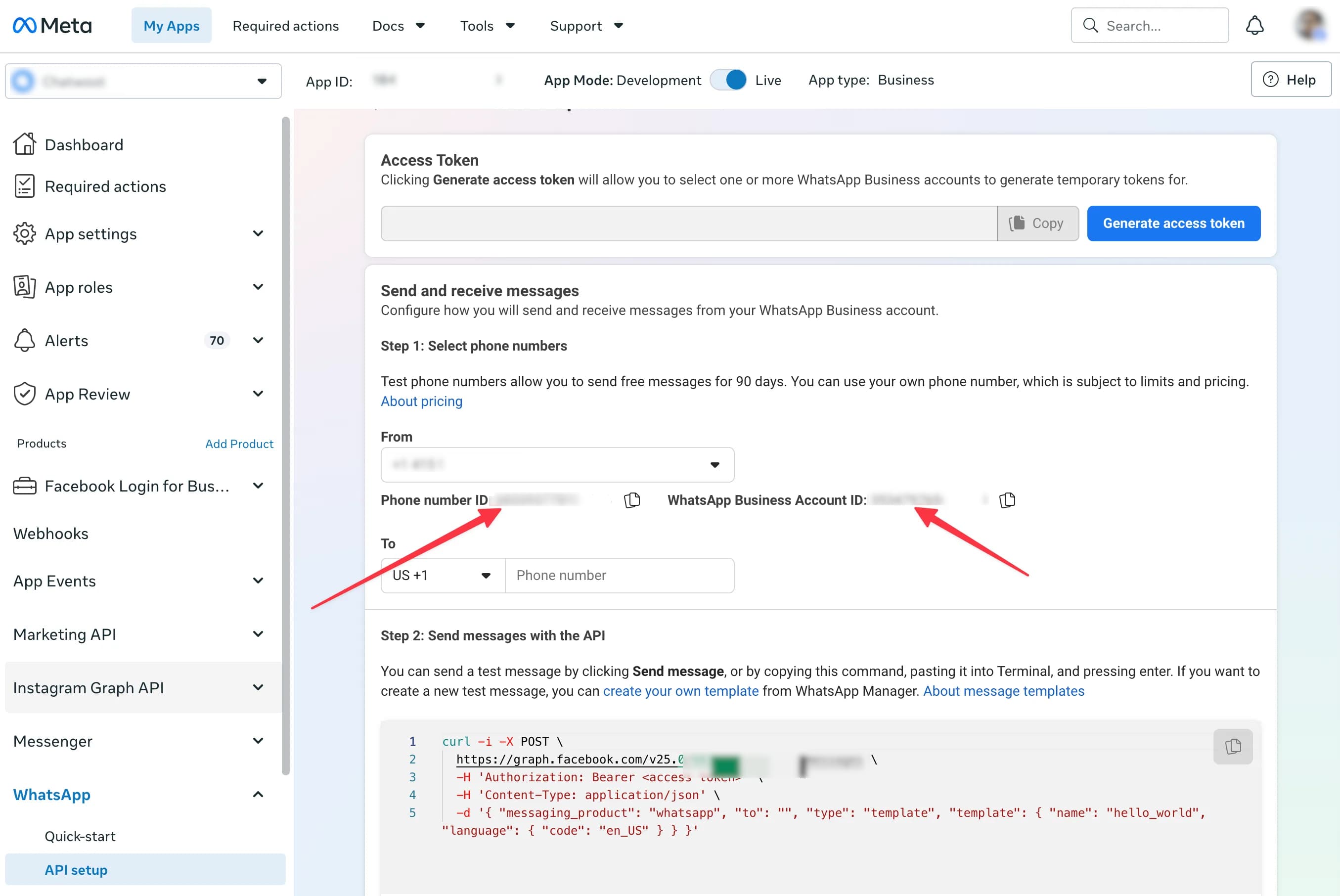Phone Number ID and Business Account ID in API Setup